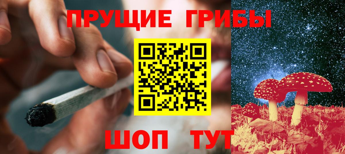 Курганинск  Галлюциногенные грибы мухоморы  Вход с VPN  Галлюциногенные грибы Psilocybine cubensis 